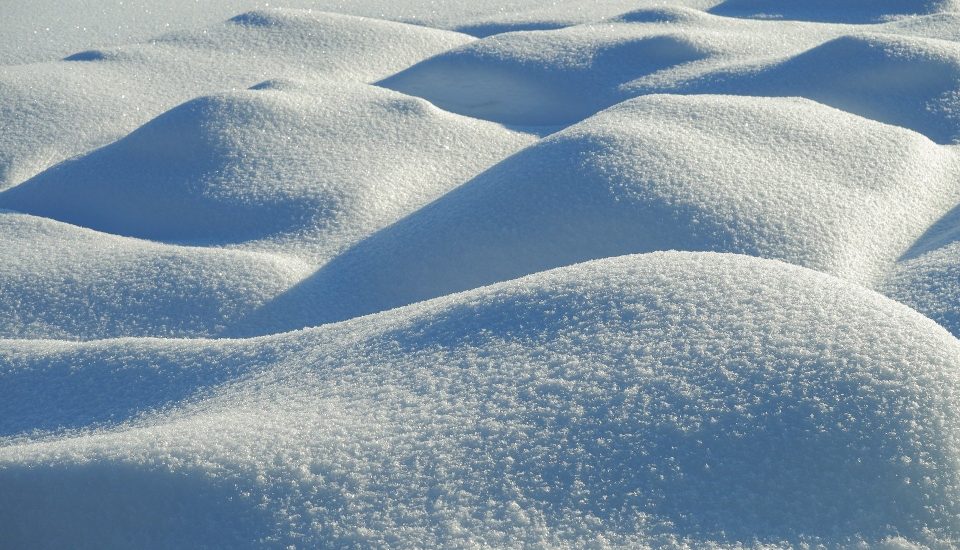 Alla ricerca di previsioni sui mercati