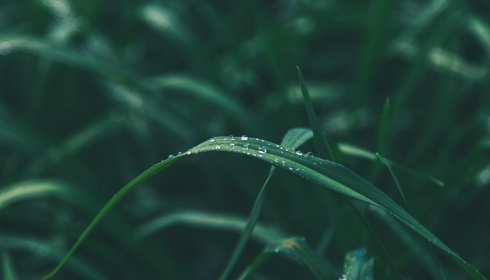 Wall street sfonda i nuovi massimi