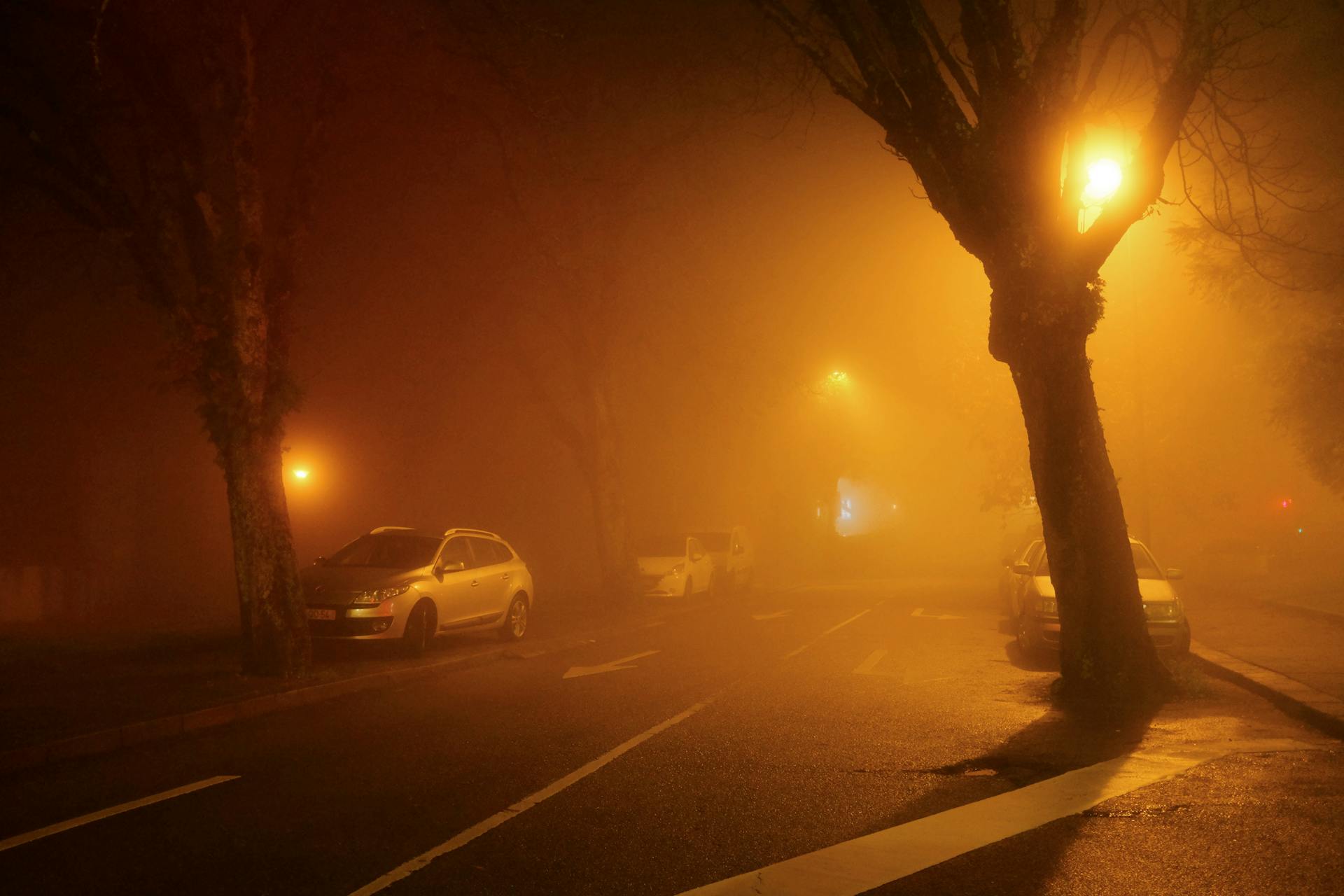 Investire: nebbia in Valpadana